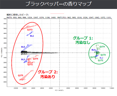 ブラックペッパーの香りマップ