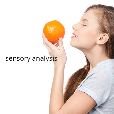 sensory analysis