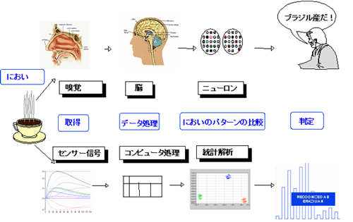 におい識別センサーシステム ｜ FOX